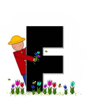 The letter F, in the alphabet set 