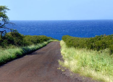 Hawaii 'nin Büyük Adası' nın arka yolu kıyıya vurur ve Pasifik Okyanusu 'na çıkar. Tropikal rüzgârda çimenler eser.