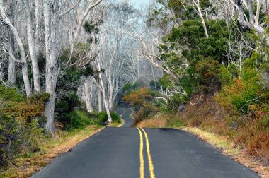 Mauna Loa strip road curves and twists up the gentle slope of the volcano.  Pavement calls to the explorer inside and adventure awaits at each crooked turn. clipart