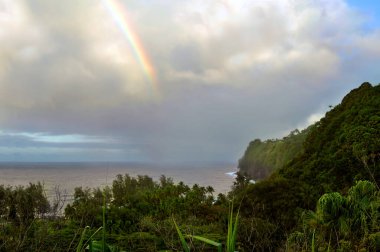 Yağmurdan sonra, Hawaii 'nin Büyük Adası' ndaki Laupahoehoe Point 'te Hamakua Sahili üzerinde bir gökkuşağı belirir. Yağmurlar hala bulutların ve gökkuşağının altına yağıyor..