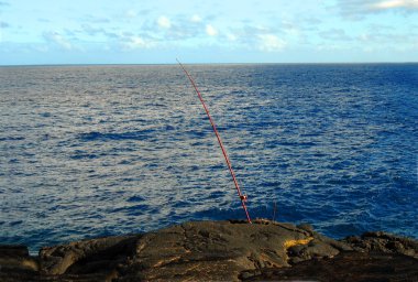 Fisherman has baited and set his rod to catch fish on the windward side of the Big Island of Hawaii.  Red rod sits on the cliff at McKinzie State Park. clipart