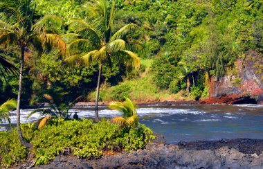 Balıkçılar Hawaii 'nin büyük adasındaki Onomea Körfezi kıyısında palmiye ağaçlarının gölgesinde sessizce avlanır..