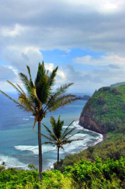 Hawaii 'nin büyük adasına bakan Pololu Vadisi bulutlu, ama güneş doğmaya çalışıyor. Okyanus manzarası, palmiye ağaçlarının tepelerini ve okyanus dalgalarının doğuşunu ve akışını içerir..