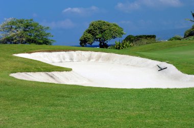 Sand trap is backed by a glimpse of the ocean and palm trees.  Lush green grass surrounds sand trap and rake. clipart