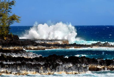 Büyük Hawaii Adası 'nın rüzgarlı tarafında lav kayaları ve vahşi dalgalar var. McKinzie Eyalet Parkı 'nın kayalık sahillerine büyük bir dalga vuruyor..