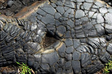 Bu sertleştirilmiş lav havuzu Hawaii Volkanları Ulusal Parkı 'nda, Hawaii' nin Büyük Adası 'nda..