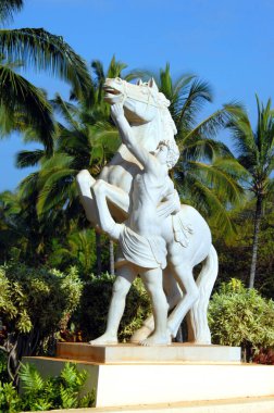 Statue depicts native hawaiian holding the bridle of an out of control horse.  Palm trees and statue are part of landscaping at resort on the island of Kauai, Hawaii. clipart