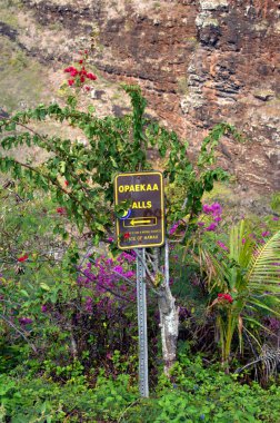 Sign points in the direction of Opaekaa Falls on the Island of Kauai, Hawaii.  Flowers bloom around sign and solid rock wall rises behind. clipart