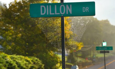 Kingsport, Tennessee 'de Dillon Drive için sokak tabelasındaki örümcek ağlarına çiy yapışır. Sabahın erken saatlerinde sis bulutları.