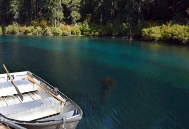 Turquoise and clear water entices visitors to rent a boat and explore Clear Lake in Oregon.  Oars sit waiting in aluminum row boat. clipart