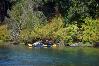 Bir çift kanolarında kıyıya yakın yüzer. Oregon 'daki Clear Gölü' nde güneşli bir günün tadını çıkarıyorlar..