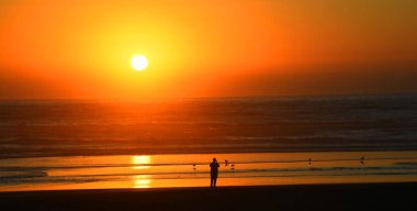 Adam, Oregon Bullards Beach State Park 'ta altın ve turuncu bir gün batımını hayranlıkla seyreden martılarla tek başına duruyor..