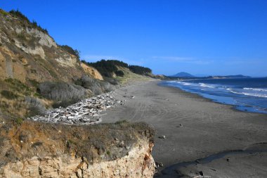 Yalnız çocuk Oregon sahilinde kumsalda oynuyor. Gökyüzü ve su mavi. Plaj ve kum dolu görüntünün genişliği.