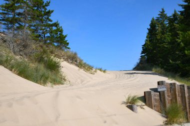 Oregon Kum tepeleri boyunca uzanan kavisli patika yokuş yukarı gidiyor. Gökyüzü mavi.