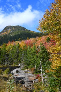 Woodstock, New Hampshire yakınlarındaki Beaver Pond Spillway 'de taşkın çıkıntılar yok. Sonbahar yaprakları bu manzaralı alanda ortaya çıkıyor..