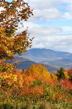 New Hampshire 'daki Kancamagus Otoyolu' ndaki Graham Wangan Manzarası 'nda sonbahar manzarası. Uzaklık dağları gösterir.