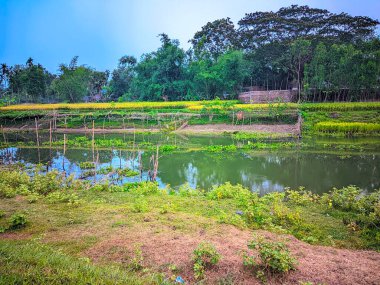 Köydeki gölet manzarası