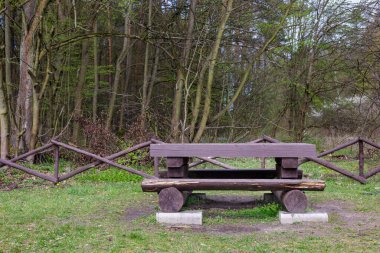 Ormanın arka planında kütüklerden yapılmış ahşap bank.