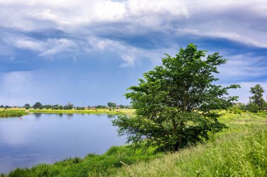 Nehir kıyısında genç bir ağaç ve karanlık, fırtınalı bir gökyüzü.