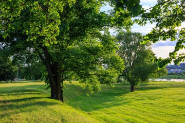 Büyük, yeşil ağaçlar nehrin yakınındaki çimlerde yetişir.