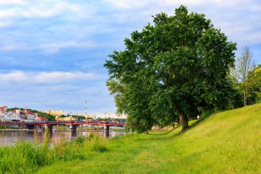 Şehir köprüsünün yanındaki nehir kıyısının yamacında güzel bir meşe ağacı.