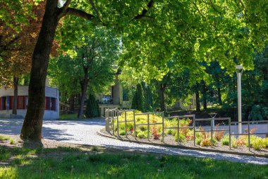 Parlak güneşin altında dar bir sokak olan bir şehir parkı. Yüksek kalite fotoğraf