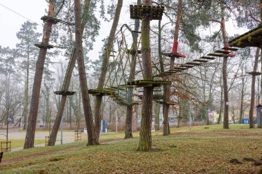 Şehir parkındaki çam ağaçlarında asılı köprüleri olan ip parkı. Yüksek kalite fotoğraf