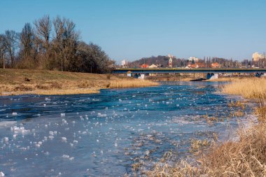 Yüzeyinde buz parçaları olan donmuş mavi bir nehir. Nehrin kıyısındaki sazlıklar. Yüksek kalite fotoğraf