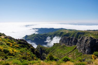 Pico Do Arieiro 'nun bulutların üstündeki dağların muhteşem manzarası otlar ve çiçeklerle kaplı. Madeira Adası, Portekiz. Yüksek kalite fotoğraf