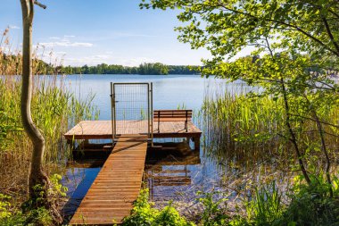 Küçük bir gölün kıyısından girmek için güçlü bir ahşap köprü ve bir kapı. Sazlıklar köprünün yanında. Yüksek kalite fotoğraf