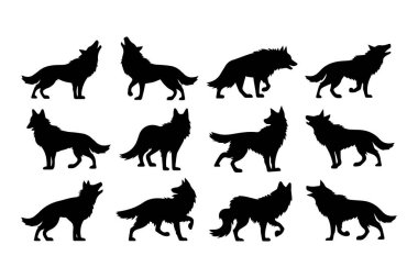 Kurt Silueti Koleksiyonu, Uluyan, Yürüyen ve Koşan Kurtlar Vektör Tasarımı.