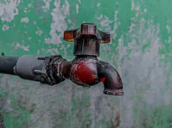 Evin arkasındaki alanın fotoğrafı yıllardır muhafaza edilmemiş.