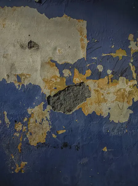 Evin arkasındaki alanın fotoğrafı yıllardır muhafaza edilmemiş.