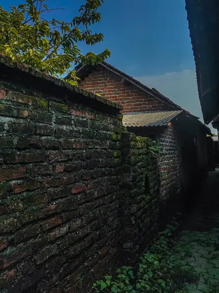 Evin arkasındaki alanın fotoğrafı yıllardır muhafaza edilmemiş.