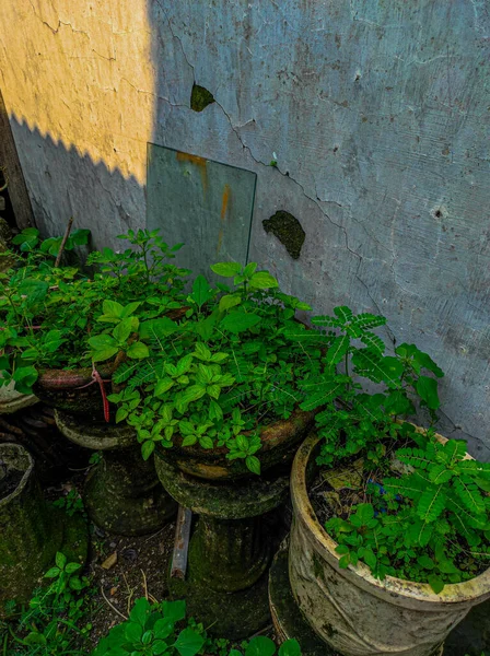 Evin arkasındaki alanın fotoğrafı yıllardır muhafaza edilmemiş.