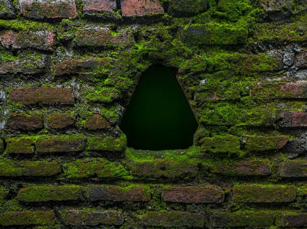 Evin arkasındaki alanın fotoğrafı yıllardır muhafaza edilmemiş.