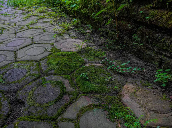 Evin arkasındaki alanın fotoğrafı yıllardır muhafaza edilmemiş.
