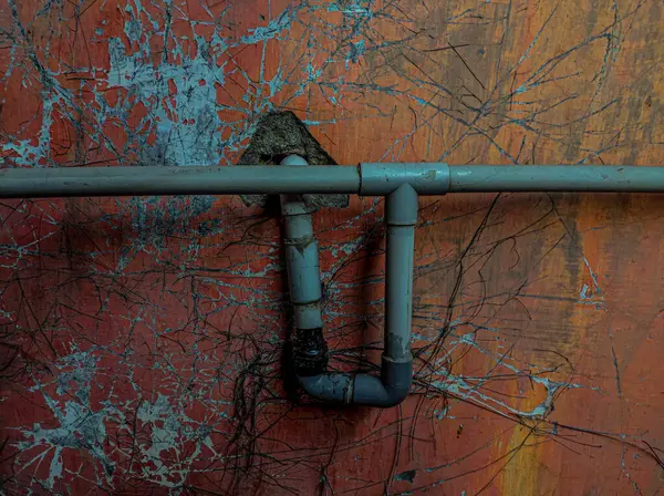 Evin arkasındaki alanın fotoğrafı yıllardır muhafaza edilmemiş.