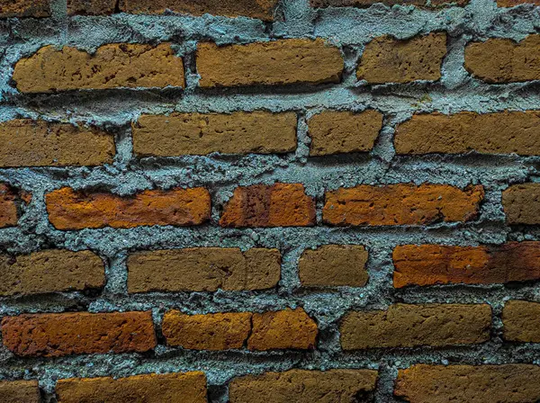 Evin arkasındaki alanın fotoğrafı yıllardır muhafaza edilmemiş.