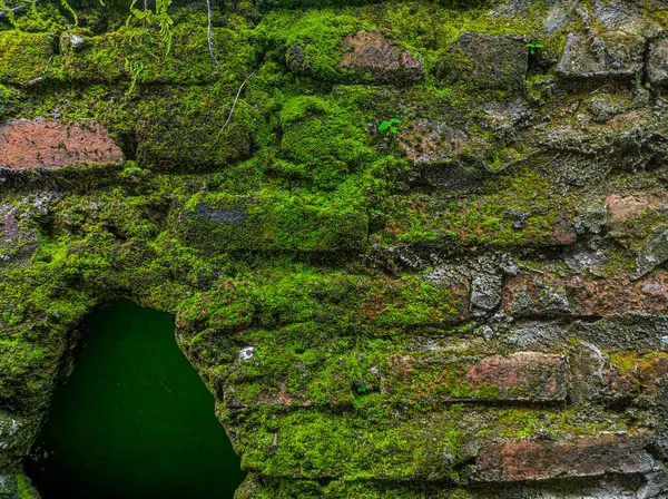 Evin arkasındaki alanın fotoğrafı yıllardır muhafaza edilmemiş.