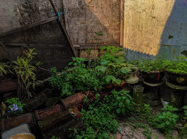 Evin arkasındaki alanın fotoğrafı yıllardır muhafaza edilmemiş.