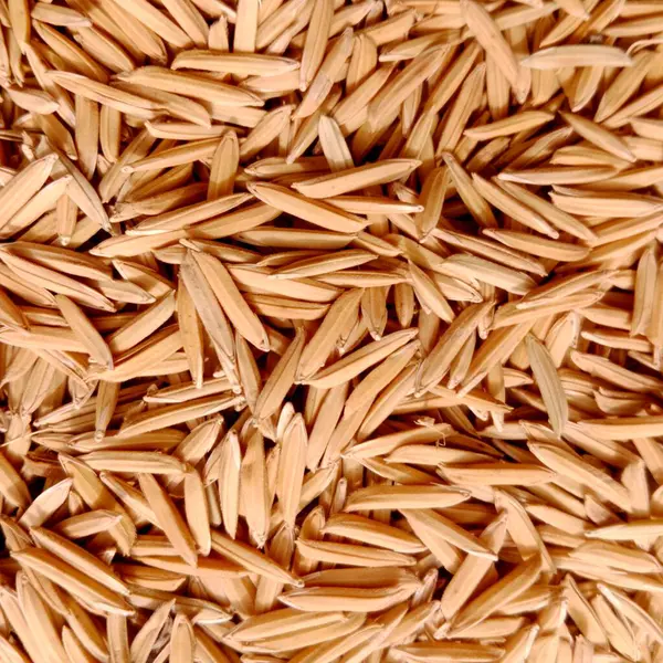 Taze Pirinç: Kaynaat pirinç stoku Taze hasat edilen mahsulden (kaynaat) pirinç adı (kaynaat) Pakistan 'da