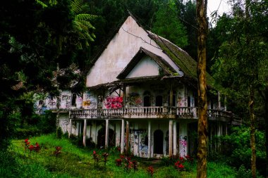 Arka plan için ormanın ortasındaki oldukça ürkütücü eski bir bina.