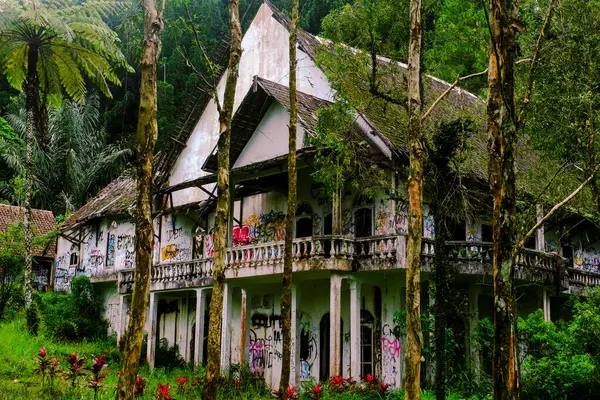 Arka plan için ormanın ortasındaki oldukça ürkütücü eski bir bina.