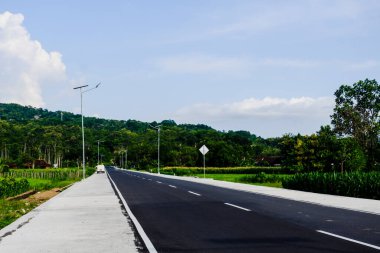 Kırsalda yol ve yeşil ağaç