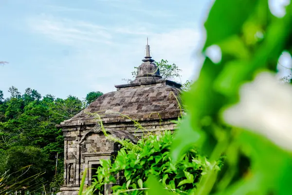 Chiang rai şehrindeki eski Wat ong Khun tapınağı, Kuzey Tayland, Tayland, Asya, Chiang rai,