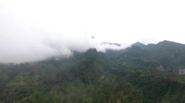 Merapi Dağı 'nın yeşil ormanının yamacından gelen hava aracı. 