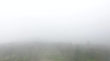 Merapi Dağı 'nın Yeşil Ormanı' nın yamacından insansız hava aracı vuruldu.