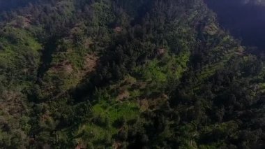 Hava Aracı Sis Volkanı Dağı Merapi Sabah Endonezyası 'nı görüntüledi.
