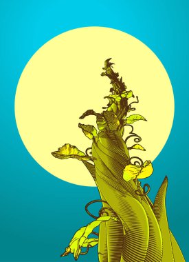 Colorful engraved vintage drawing beanstalk worm eye view growing to the moon vector illustration isolated on night turquoise green background clipart
